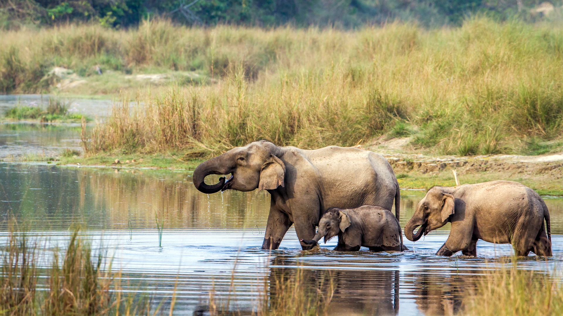 Chitwan, Nepal
